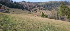  Teren montan cu peisaje de poveste   ideal pentru cabane A-frame sau turism   Vatra Dornei  - imagine 2