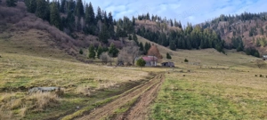  Teren montan cu peisaje de poveste   ideal pentru cabane A-frame sau turism   Vatra Dornei  - imagine 6