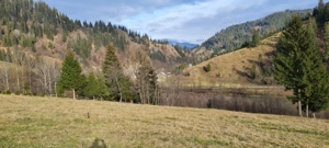  Teren montan cu peisaje de poveste   ideal pentru cabane A-frame sau turism   Vatra Dornei  - imagine 9