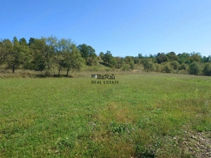 Teren intravilan 8757 mp cu potential turistic si acces direct la E79 - imagine 10