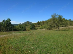 Teren intravilan 8757 mp cu potential turistic si acces direct la E79 - imagine 4