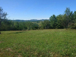 Teren intravilan 8757 mp cu potential turistic si acces direct la E79 - imagine 12