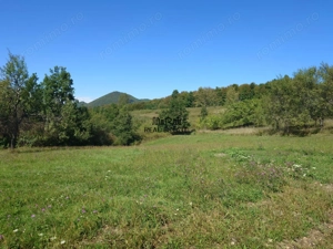 Teren intravilan 8757 mp cu potential turistic si acces direct la E79 - imagine 13
