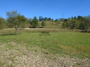 Teren intravilan 8757 mp cu potential turistic si acces direct la E79 - imagine 8