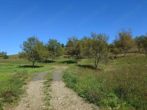 Teren intravilan 8757 mp cu potential turistic si acces direct la E79 - imagine 7