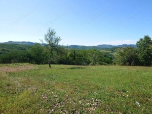 Teren intravilan 8757 mp cu potential turistic si acces direct la E79 - imagine 3