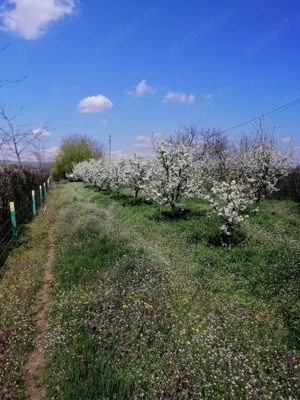 Vand teren Valea Calugareasca