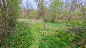 Vând terenuri intravilane, extravilane și păduri   comuna Fârtățești, județul Vâlcea - imagine 4