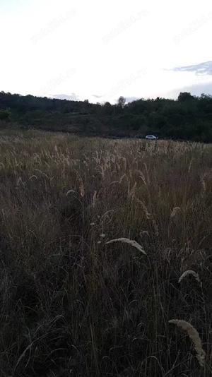 Vând terenuri intravilane, extravilane și păduri   comuna Fârtățești, județul Vâlcea - imagine 2