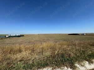 De închiriat   1,5 ha teren intravilan   DN Caracal-Craiova   2.800   lună - imagine 5