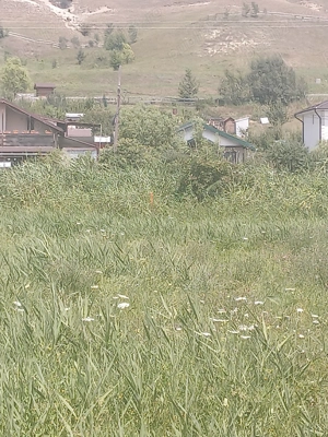 Vand teren in Chinteni - imagine 5