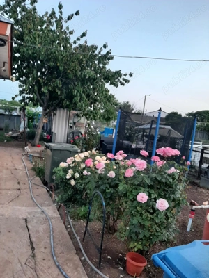 Casă de vânzare în Limanu jud Constanta 75000 euro  - imagine 4 Casă de vânzare în Limanu jud Constanta 75000 euro  - imagine 4