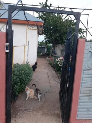 Casă de vânzare în Limanu jud Constanta 75000 euro  - imagine 7 Casă de vânzare în Limanu jud Constanta 75000 euro  - imagine 7