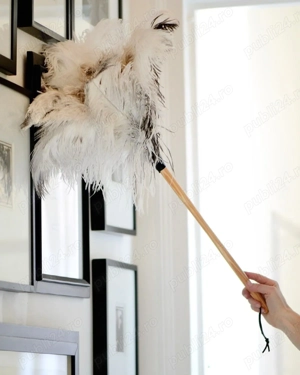 Firma de curatenie Happy Sofia cleaning- angajeaza - imagine 2 Firma de curatenie Happy Sofia cleaning- angajeaza - imagine 2