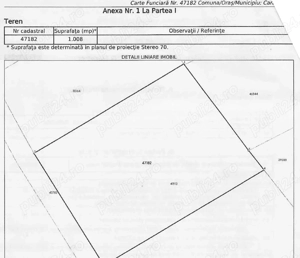 Ternuri de vazare pentru casa in Caransebes - imagine 3