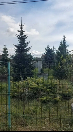 Proprietar,  vînd teren cu utilități,  stradă asfaltată la 17 km de Timișoara aproape de Moșnița