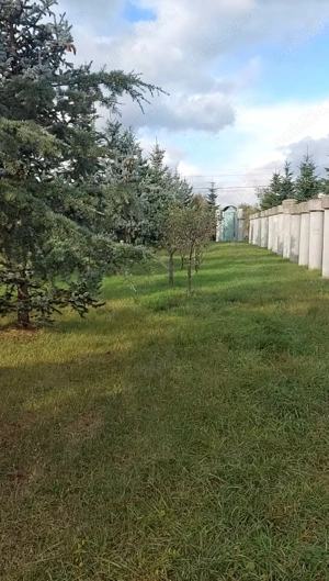 Proprietar,  vînd teren cu utilități,  stradă asfaltată la 17 km de Timișoara aproape de Moșnița  - imagine 2