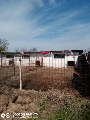 Vand teren extravilan 15000 metri patrati - imagine 6