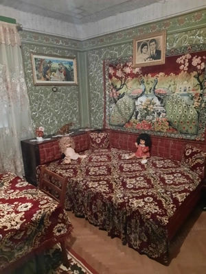 Casă de vânzare în Lăpușnicu Mare  - imagine 8