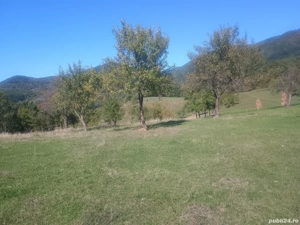 Vand teren  - imagine 3