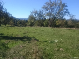 Vand teren  - imagine 5