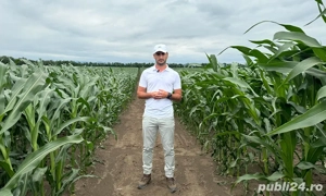 Angajam Inginer Agronom