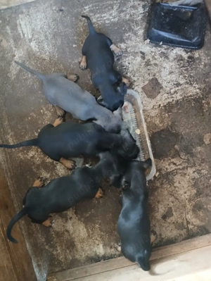 Techeli    - imagine 3