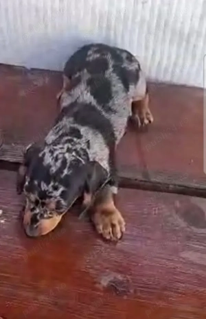 Techeli    - imagine 2