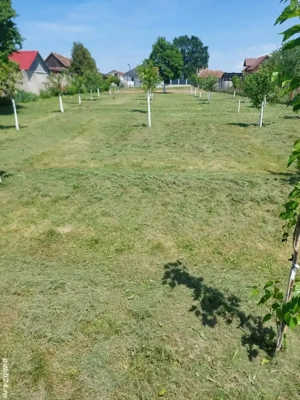 Casă  parter constructie 2024 - imagine 10 Casă  parter constructie 2024 - imagine 10