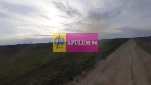 Parcelă aproape de Pădura la 1 Decembrie Ilfov - imagine 5