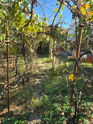 Casa solidă zona DAMBOVITA teren 500 mp - imagine 6