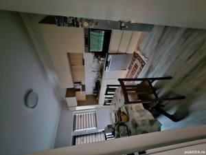 Duplex mosnita veche proprietar - imagine 2