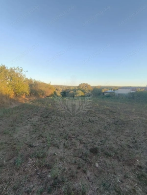 TEREN INTRAVILAN  PLOPU//3000 MP