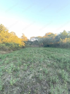 TEREN INTRAVILAN  PLOPU//3000 MP - imagine 6