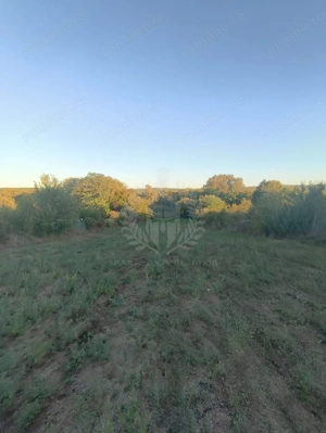 TEREN INTRAVILAN  PLOPU//3000 MP - imagine 5