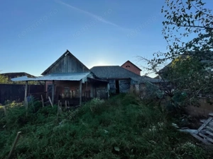 Investitie pentru liniste si oaza de verdeata  - imagine 10