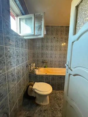 Investitie pentru liniste si oaza de verdeata  - imagine 12