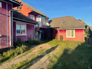 Investitie pentru liniste si oaza de verdeata  - imagine 3