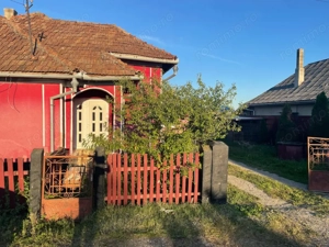 Investitie pentru liniste si oaza de verdeata  - imagine 2