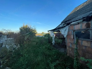 Investitie pentru liniste si oaza de verdeata  - imagine 8