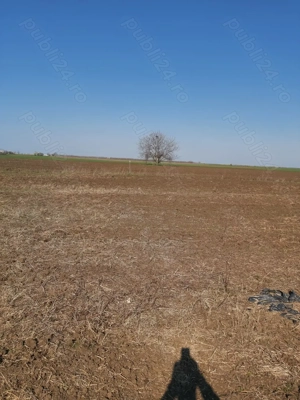 Teren intravilan Comuna Berceni, 374 mp+181 mp drum, 5.8 km de metrou