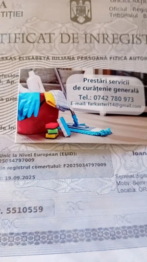 P.F.A curatenie la domiciliu ,birouri,blocuri si spati comerciale