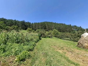  Se vinde proprietate la munte 7594mp - imagine 4