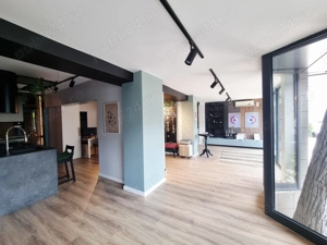 Spatiu comercial stradal zona Masnita- 2 Babe st 116 mp - imagine 3