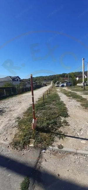 TEREN INTRAVILAN ARGESELU!!! - imagine 7