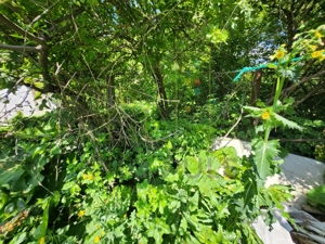 Complex - Stadion. 723 mp teren. Posibilitate construire S + P + 5E + ER - imagine 11