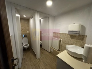 Casa Zona Dorobanti | Floreasca | Curte - imagine 8