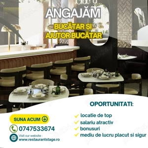 STAGE Galati angajeaza Spalator Vase