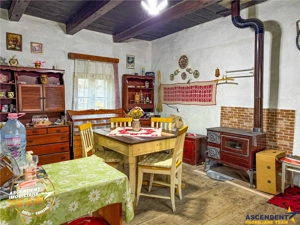 FILM! Proprietate traditionala,de poveste,cu 3.000 mp teren intravilan,Zagon,Covasna - imagine 4