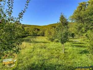 FILM! Proprietate traditionala,de poveste,cu 3.000 mp teren intravilan,Zagon,Covasna - imagine 15